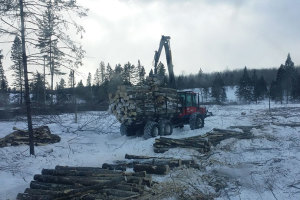 forwarder-952